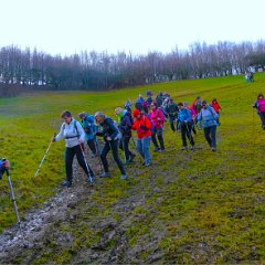 P1180213    Terreno scivoloso.